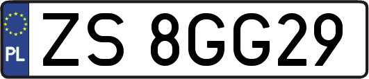 ZS8GG29