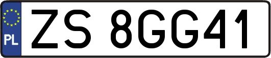 ZS8GG41