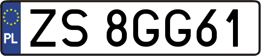ZS8GG61
