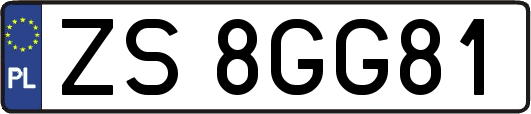 ZS8GG81