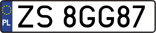 ZS8GG87