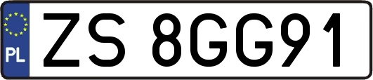 ZS8GG91