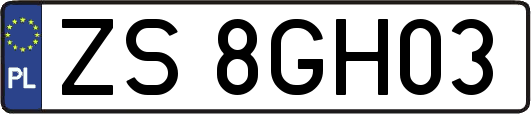 ZS8GH03