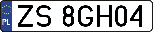 ZS8GH04