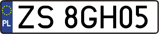 ZS8GH05