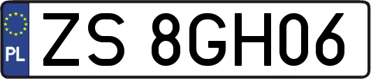 ZS8GH06