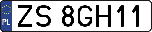 ZS8GH11