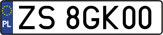 ZS8GK00