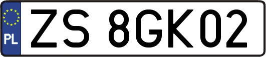 ZS8GK02