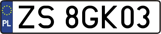 ZS8GK03