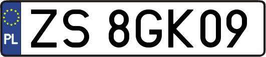 ZS8GK09