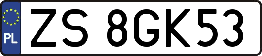 ZS8GK53