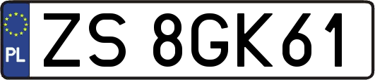 ZS8GK61