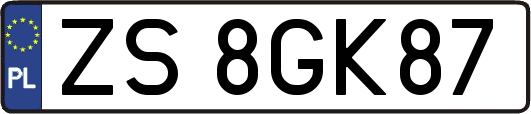 ZS8GK87