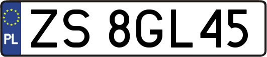 ZS8GL45