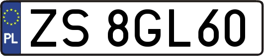 ZS8GL60