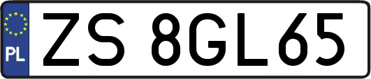 ZS8GL65