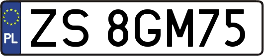 ZS8GM75