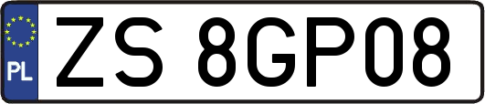 ZS8GP08
