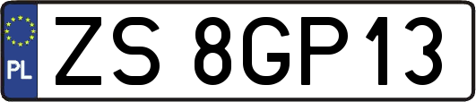 ZS8GP13