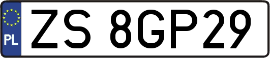 ZS8GP29
