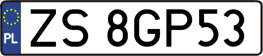 ZS8GP53