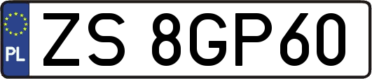 ZS8GP60