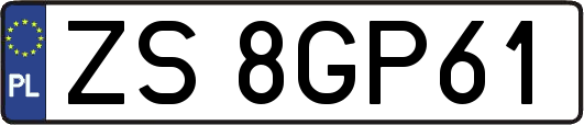 ZS8GP61