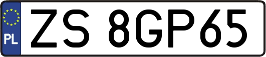 ZS8GP65