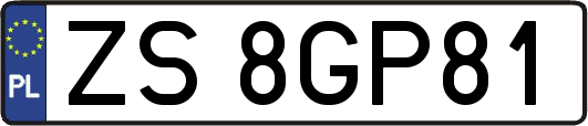 ZS8GP81