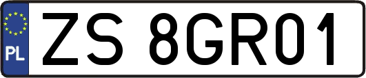 ZS8GR01
