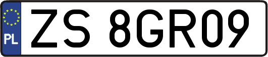 ZS8GR09