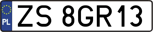 ZS8GR13