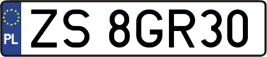 ZS8GR30