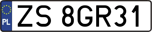 ZS8GR31