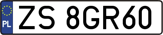 ZS8GR60