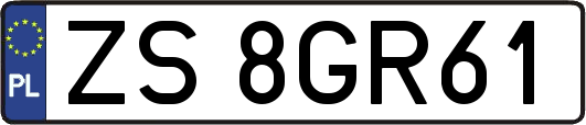 ZS8GR61