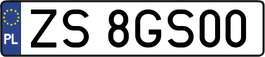 ZS8GS00