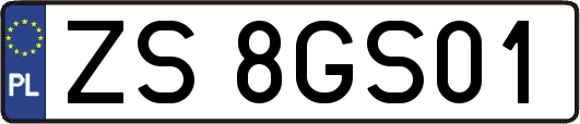 ZS8GS01
