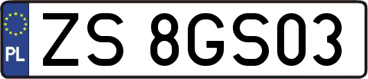 ZS8GS03