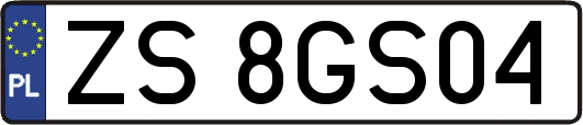 ZS8GS04
