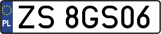 ZS8GS06