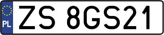 ZS8GS21