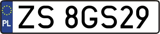 ZS8GS29