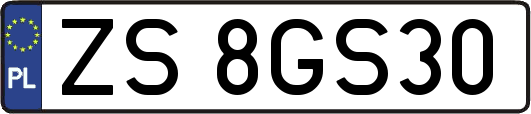 ZS8GS30