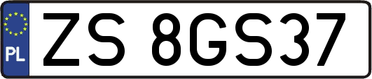 ZS8GS37