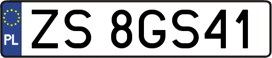 ZS8GS41