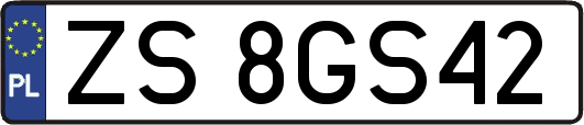 ZS8GS42