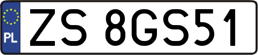 ZS8GS51
