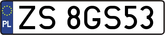 ZS8GS53